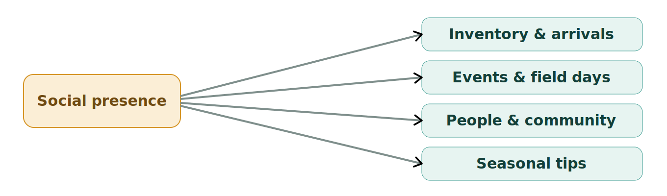 Figure 1: Social media for a dealership