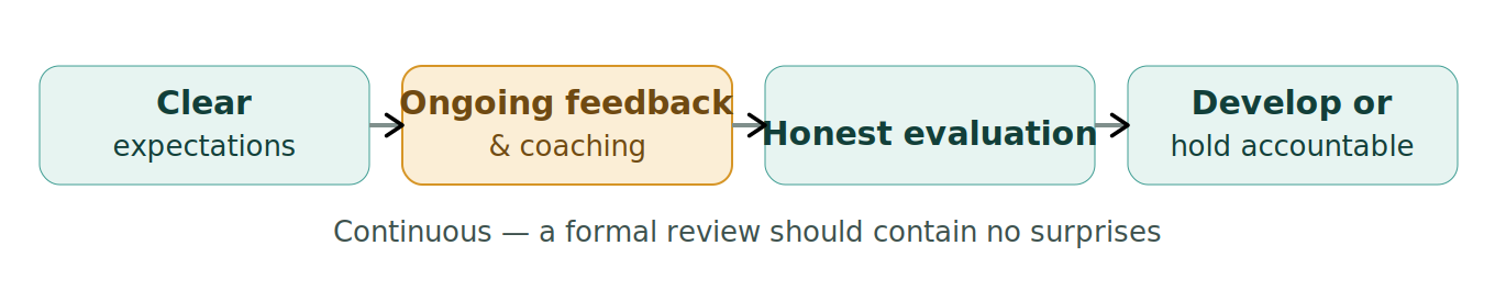 Figure 1: Performance management as a cycle