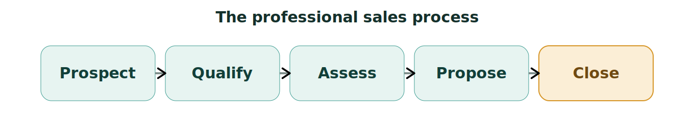 Figure 1: The professional sales process